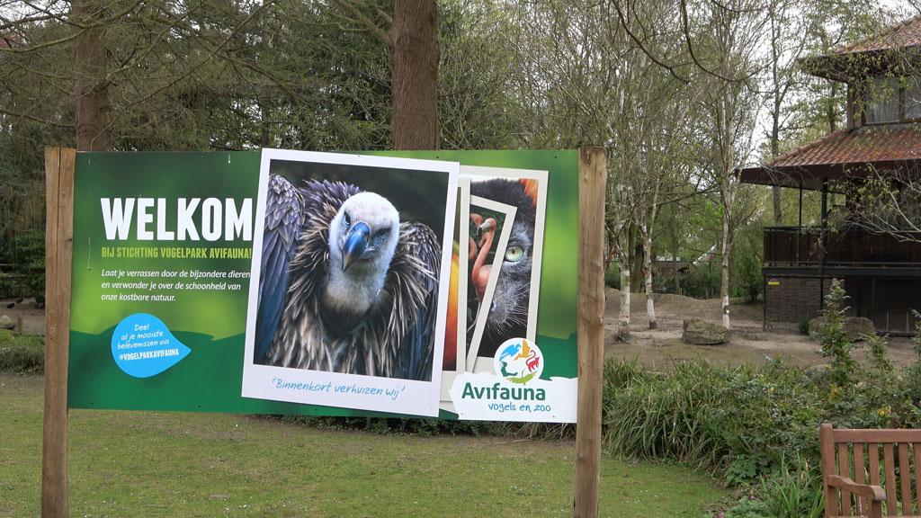 Avifauna-01